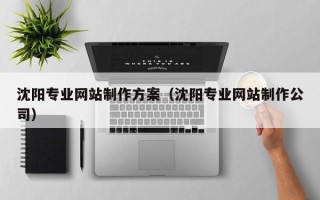 金华沈阳专业网站制作方案（沈阳专业网站制作公司）